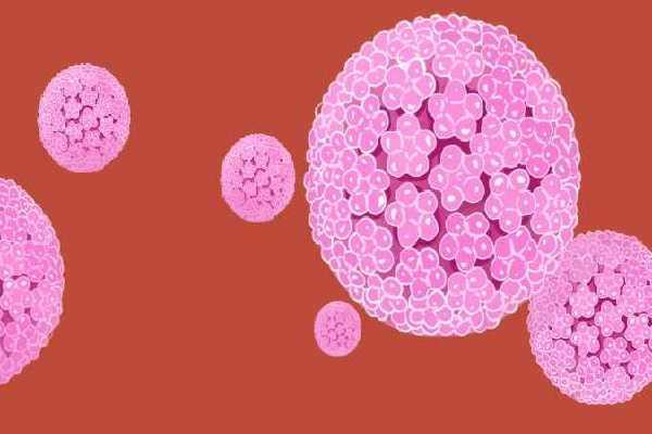 HPV66阳性的最坏结果是什么
