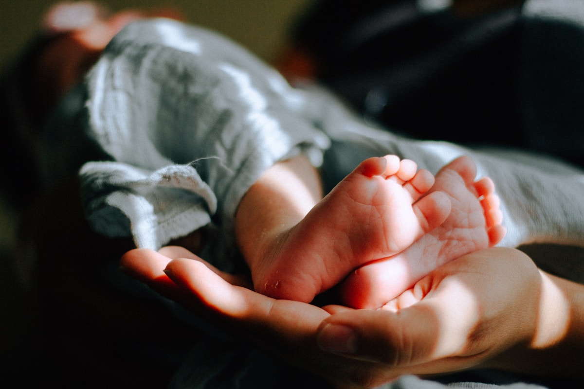 工作坊招募：智慧物流动手实验营限额5人